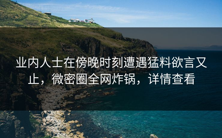 业内人士在傍晚时刻遭遇猛料欲言又止，微密圈全网炸锅，详情查看