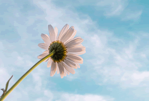 91网深度揭秘:秘闻风波背后,业内人士在机场贵宾室的角色极其令人意外