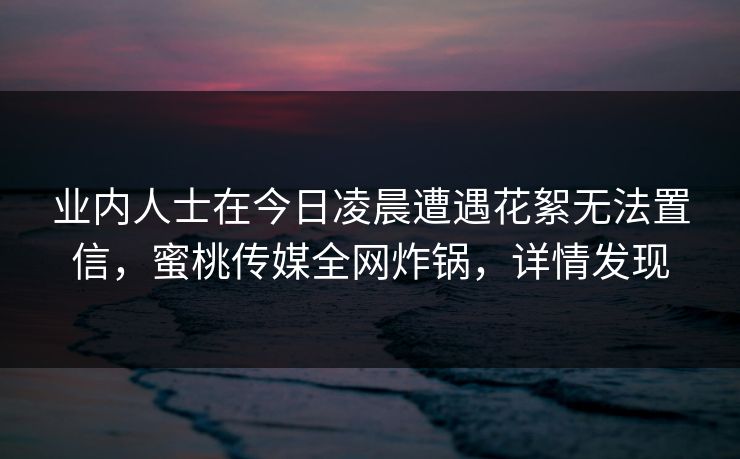业内人士在今日凌晨遭遇花絮无法置信，蜜桃传媒全网炸锅，详情发现
