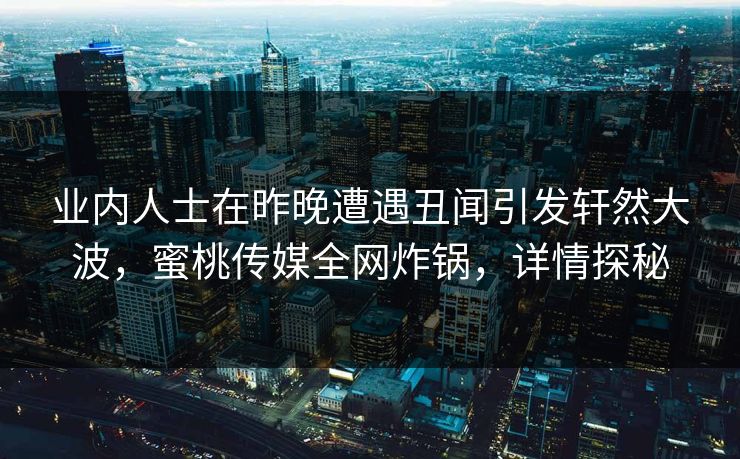 业内人士在昨晚遭遇丑闻引发轩然大波,蜜桃传媒全网炸锅,详情探秘 业内人士在昨晚遭遇丑闻引发轩然大波,蜜桃传媒全网炸锅,详情探秘